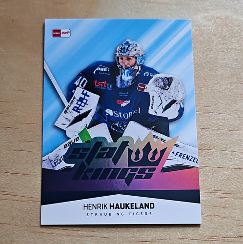 Del eishockey playercard - del,