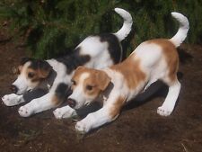 Jack Russell Parson Terrier