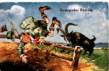 AK  Ziege - Mann fluchtet vor