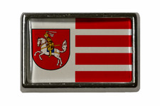 Pin Dithmarschen Flaggenpin