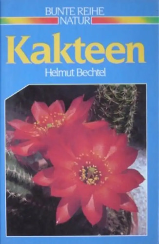 Kakteen zustand sehr - kakteen,