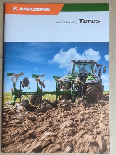 Amazone teres - amazone,