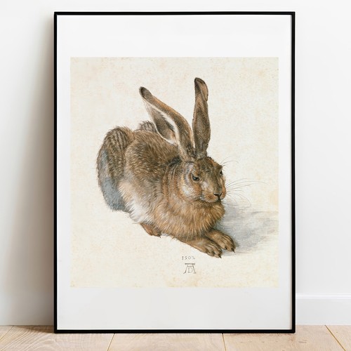 Albrecht durer der hase - albrecht,