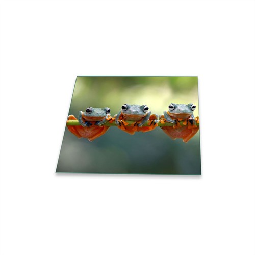 Herdabdeckplatte ceran - herdabdeckplatte,