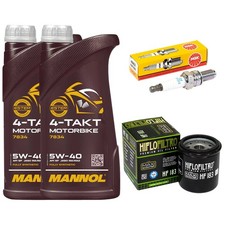 Inspektion Set Öl 2L