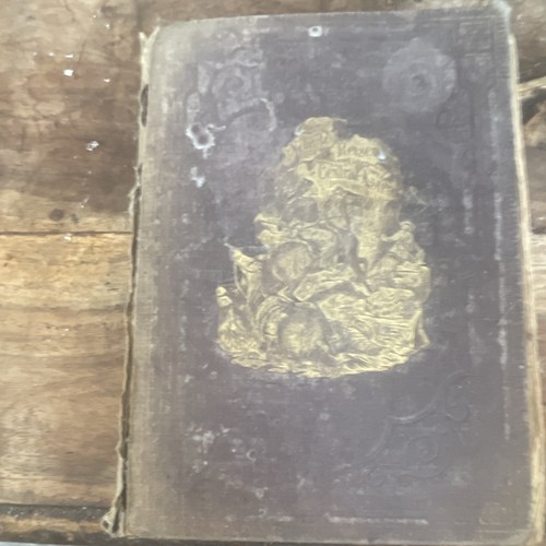 David livingstone - david, livingstone: