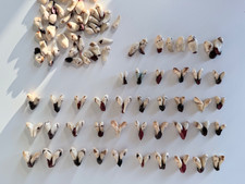 Hirsch Grandeln 50 Paare zur