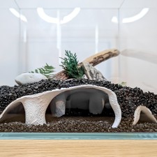 Große Aquarium Höhle Versteck für Betta, Garnelen, Plecos - Aquarium Tunnel Deko