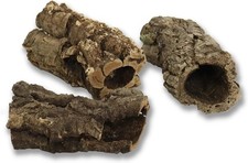 Korkeiche Rinde Röhren