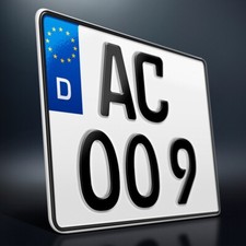 1 Kennzeichen | 240 x 200 mm |