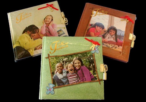 Tagebuch mit schloss - tagebuch,