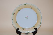 Kuchenteller 20cm Alt Dresden Rosengarten Seltmann Weiden