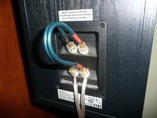 Neotech Bi-Wiring Speaker