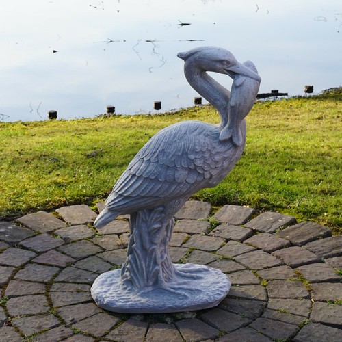 Reiher vogel fischreiher - vogel,