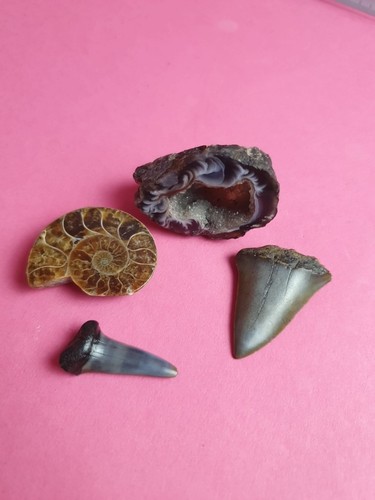 Sammlung kristall druse - kristall,
