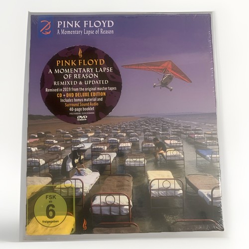 Momentary lapse reason by - momentary,