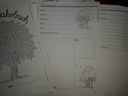 Baumjahrbuch baum jahreslauf - baumjahrbuch,