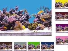 12,99€/m Aquarium