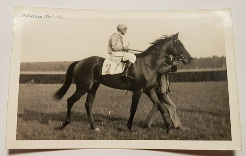 Alte foto jockey - alte,