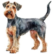 3x Sticker Airedale Terrier
