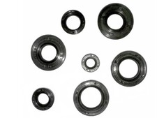 Wellendichtring Motor