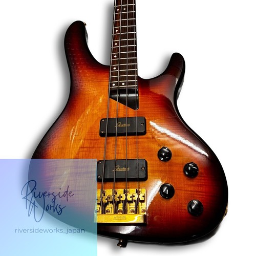Seltene washburn 1250 - seltene, kip