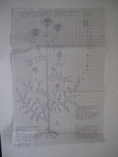 Haandarbejdets Fremme - Danish