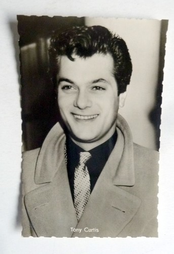 Tony curtis kolibri - tony,