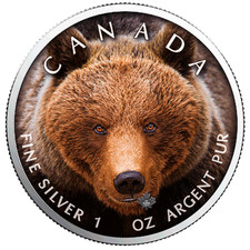 1 Oz Ag, nur 500 Stück geprägt, Kanada, 5 Dollar 2019, Grizzlybär, Stgl.