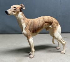 Windhund Whippet gestromt &