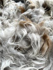 Lama Rohwolle Wooly Lama