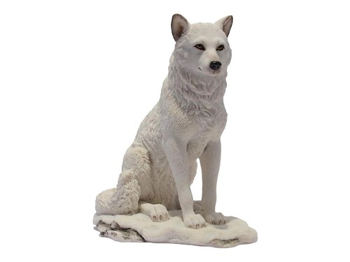 Weißer wolf sitzt - weißer, im