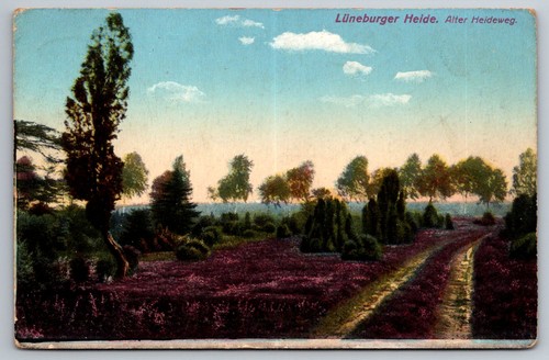Postkarte lüneburger heide - postkarte,
