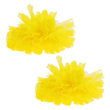 2 Stück Cheerleading Pom