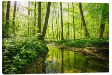 Leinwandbild Frischer grüner