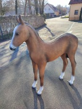 Fohlen Pferd lebensgross