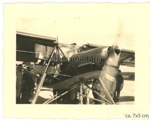 Orig foto fieseler 156 - foto,