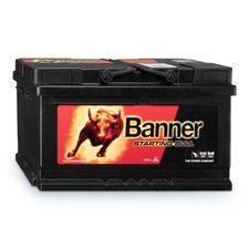 Banner Starting Bull