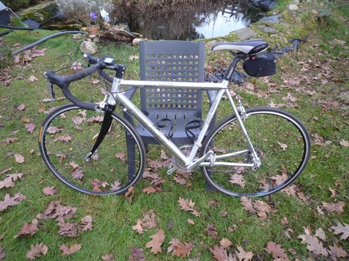Rennrad radon boa - radon,