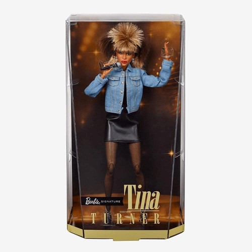 Barbie signature tina turner - barbie,