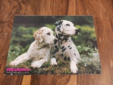 Süße Hundepostkarte ? DALMATINER ? AK HUND Eukanuba
