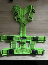 Anny-X Limited Edition Safety