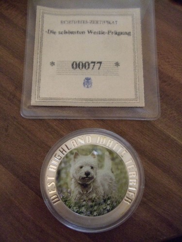 West highland terrier - terrier, westie