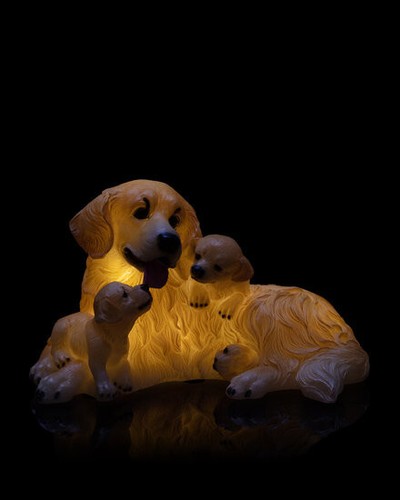 Led nachtlicht hund - led, retriver