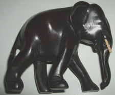 schöner alter Elefant -