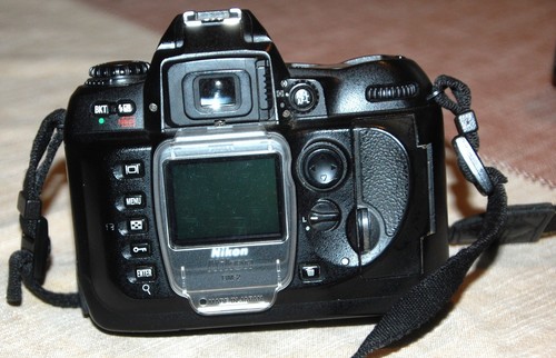 Nikon d100 af - +, nikkor
