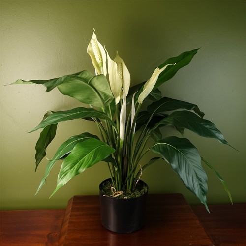 Künstliche blühende pflanze - künstliche,