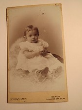 Berlin - auf einem Fell