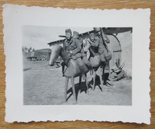 Altes Foto deutsche Soldaten auf Holzpferd / Lustige Kavallerie