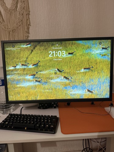 Benq zowie xl2566k zoll - xl2566k, 24,5